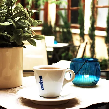 Cieszynski Aparthotel Stare Miasto מלון