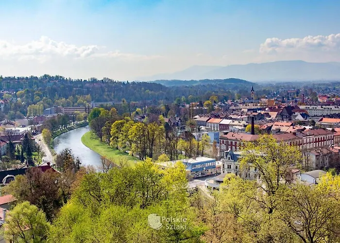 Hotel Cieszynski Stare